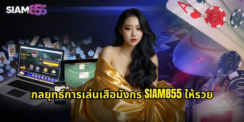 กลยุทธ์การเล่นเสือมังกร SIAM855 ให้รวย